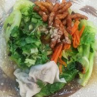 wontons with veggies and crispy sticks at Cao Yuan Zhai - 草緣齋 - Maybe closed in Hualien