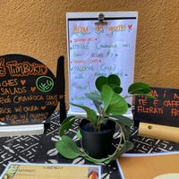   at Café Timbuktu in Perugia