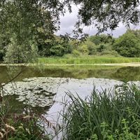   at Modern Life Café in Norwich