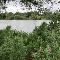   at Modern Life Café in Norwich