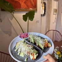 Tacos estilo gobernador de setas   at Hierba Santa in Tuxtla Gutierrez