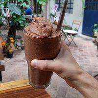 Mono araña at Hierba Santa in Tuxtla Gutierrez