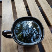 Cafe at Hierba Santa in Tuxtla Gutierrez