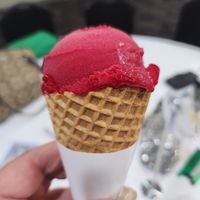 Vegan sorbet at All Seasons Hotel in Bendigo