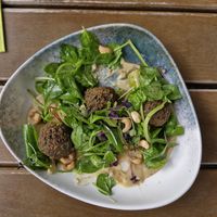  at Toms Näschtl in Landau