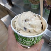 Dairy Free Chocolate Chip Cookie Dough at Ben & Jerry's in Hollywood