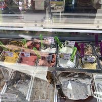 Tanto vegano!  at GelArte in Taggia