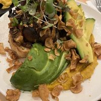 Sautéed mushrooms on toast with extra side avocado  at Ten Square Cafe in Melbourne
