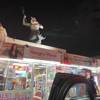   at Hangry Planet in San Bruno