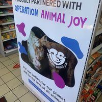 Cuteness in the store   at Hangry Planet in San Bruno