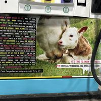   at Hangry Planet in San Bruno