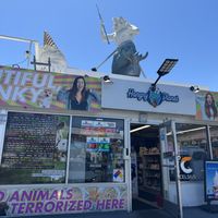   at Hangry Planet in San Bruno