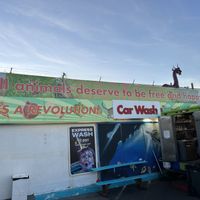   at Hangry Planet in San Bruno