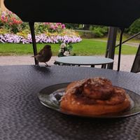 Friendly locals!!! at Kahvila Rakastan in Helsinki