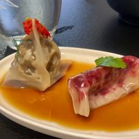 Vegan gyoza - with mushrooms and with beetroot  at Koral Bistro in Pezinok