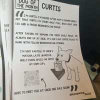 Curtis and CBCB featured in local 'Nonesense News' at CBCB & ODFUB in Brunswick