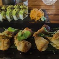  at  Midori in Puerto Ayora
