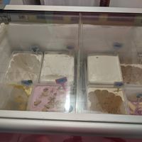 Vegan options at Kedi Artisanal Ice Cream in Maragogi