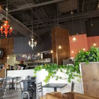 Inside at Green Vegetarian Cuisine at Alon in San Antonio