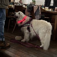   at Braugaststätte Papiermühle in Jena