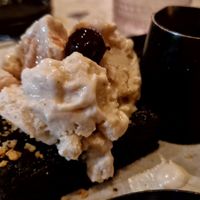 Brownie at Planta Queen - Fort Lauderdale in Fort Lauderdale