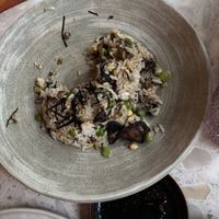 Truffle fried rice  at Planta Queen - Fort Lauderdale in Fort Lauderdale