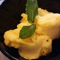 Mandarin sorbet. at Veggira in Bilbao
