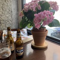   at Chia Chill Café in Madrid