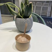 Vegan ice cream at Sugar Killer in Athens