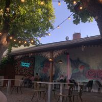   at Entrega430 X Veggiezz in Linz