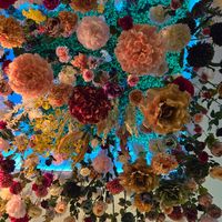  at Entrega430 X Veggiezz in Linz