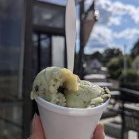  at Garden Patch by the Sea in Quincy