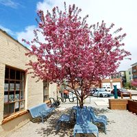 Blooming tree at FoCo Cafe - Feeding Our Community Ourselves in Fort Collins