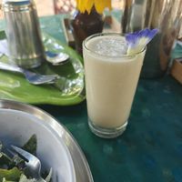 Ramphal smoothie at Solitude Farm of Auroville in Auroville