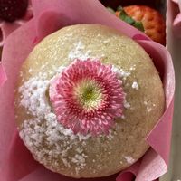   at Vegalicious in Norwich