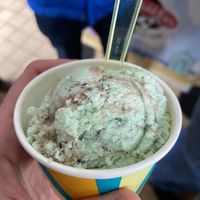Vegan mint choc chip ice cream!   at Flissys Coffee Shop in Thurstaston