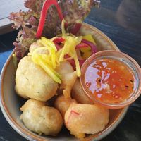  at To80 vegan in Cologne