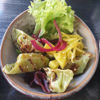  at To80 vegan in Cologne