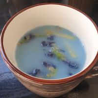  at To80 vegan in Cologne