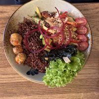   at To80 vegan in Cologne