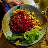  at To80 vegan in Cologne