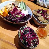  at To80 vegan in Cologne