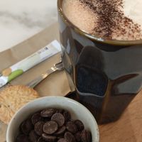  at Plant Dragon in Leuven