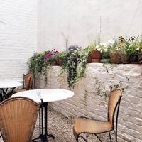  at Plant Dragon in Leuven