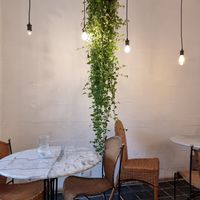 Interior at Plant Dragon in Leuven