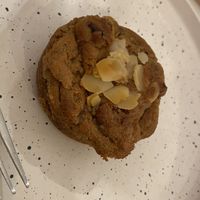   at Plant Dragon in Leuven