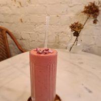   at Plant Dragon in Leuven