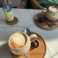   at Plant Dragon in Leuven