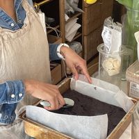   at Plant Dragon in Leuven