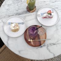  at Plant Dragon in Leuven